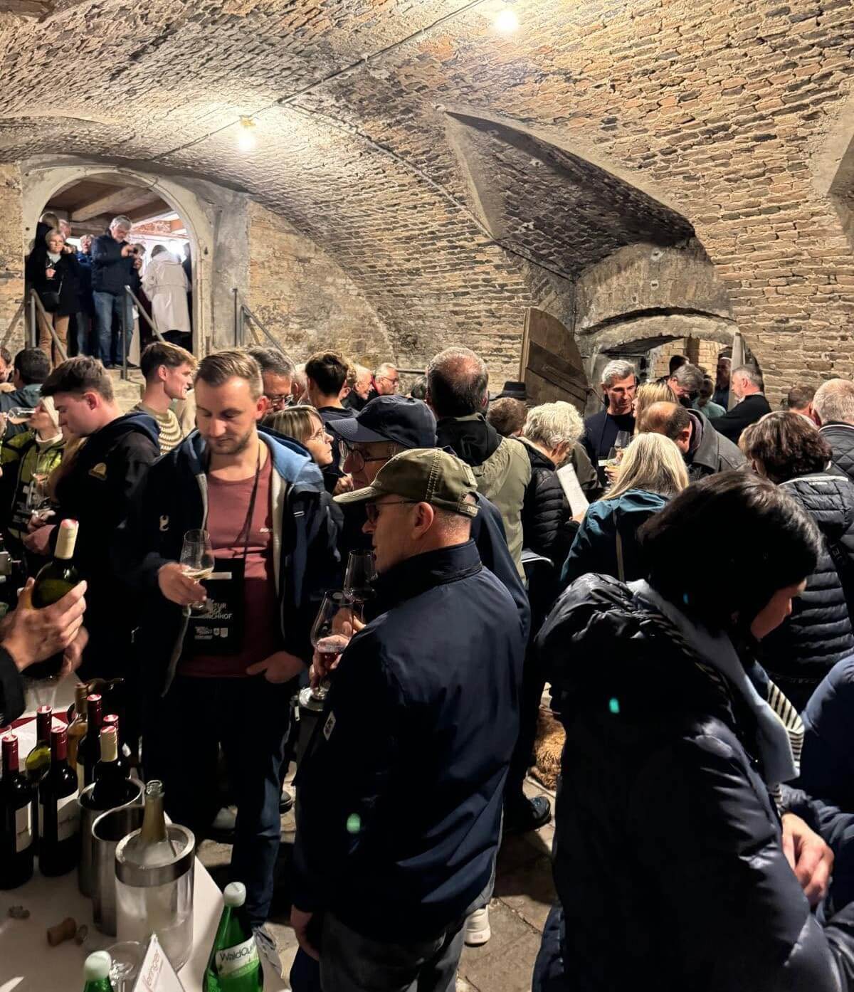 Gäste im Keller im Rahmen der Mönchhofer Wein- und Kulturtage 2025