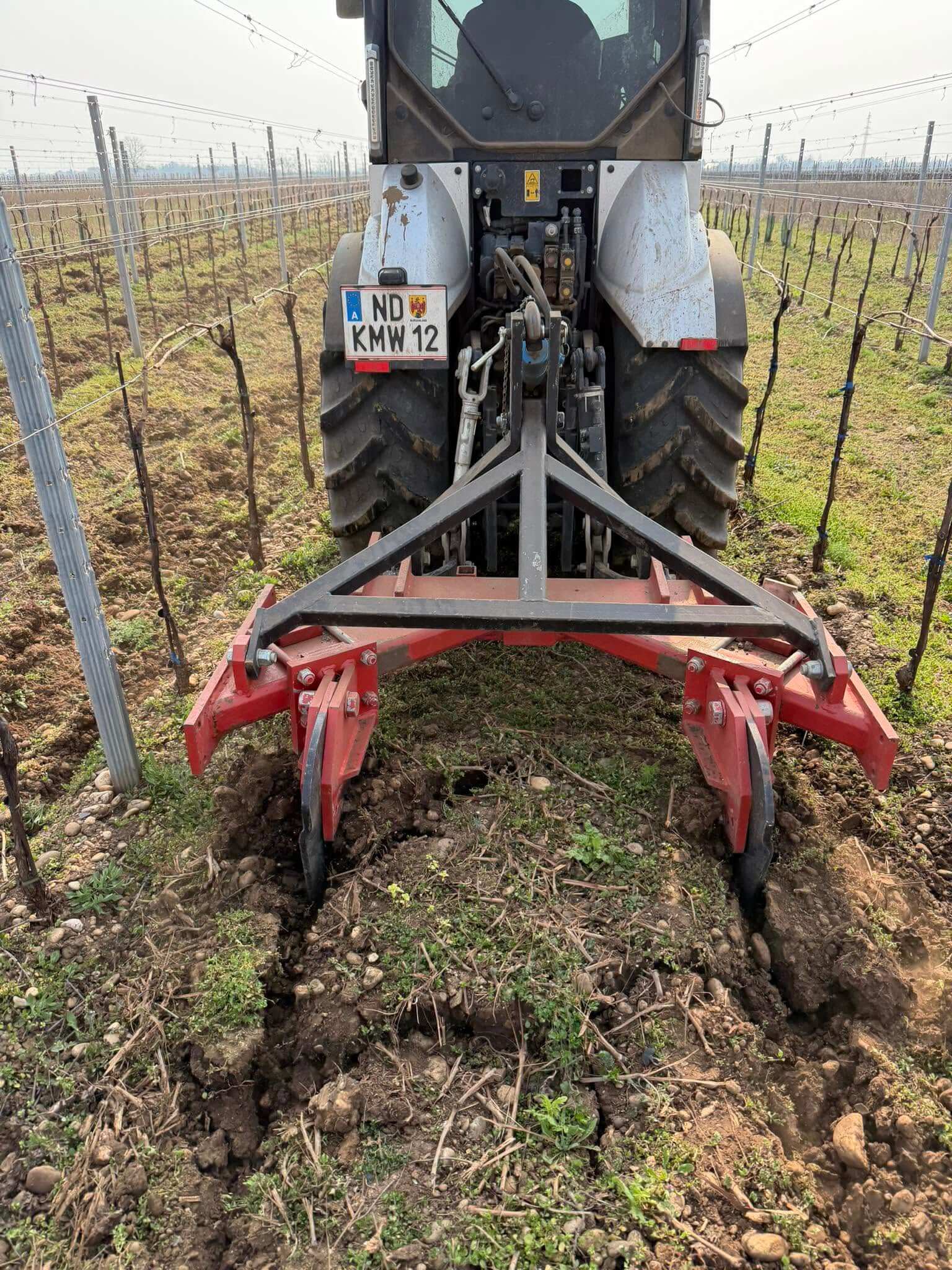 Traktor mit Arbeitsgerät im Weingarten, Weingut Keringer
